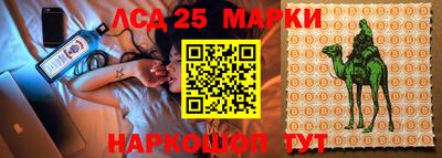 скорость Славгород