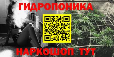 скорость Славгород