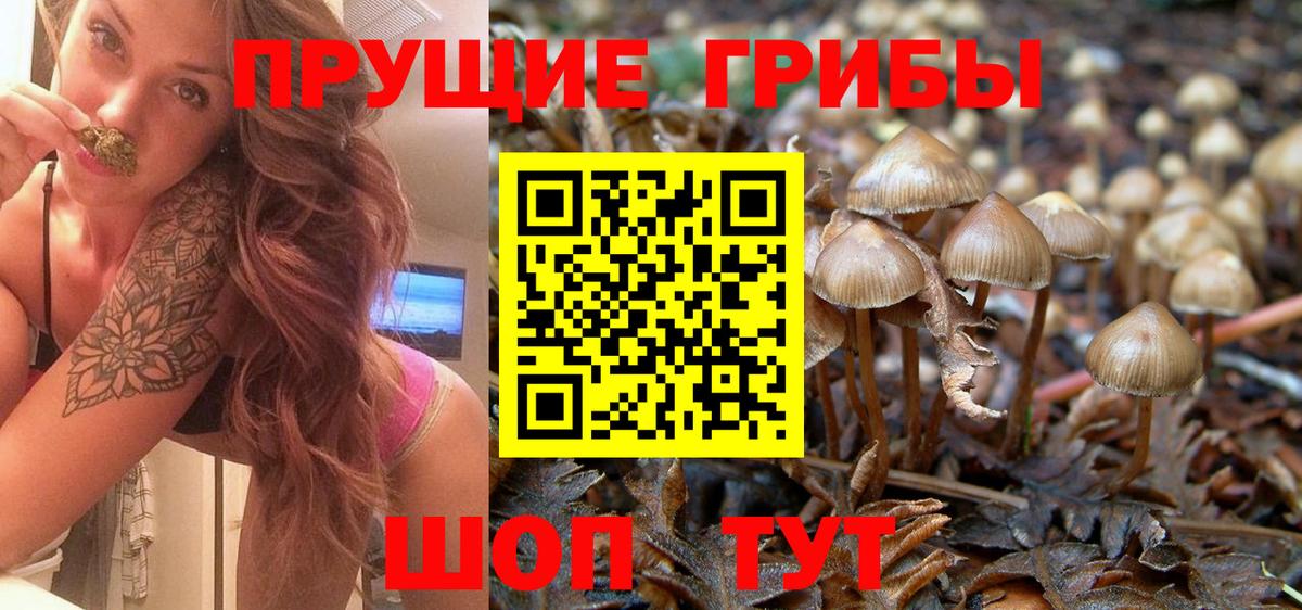 Галлюциногенные грибы ЛСД Новокубанск